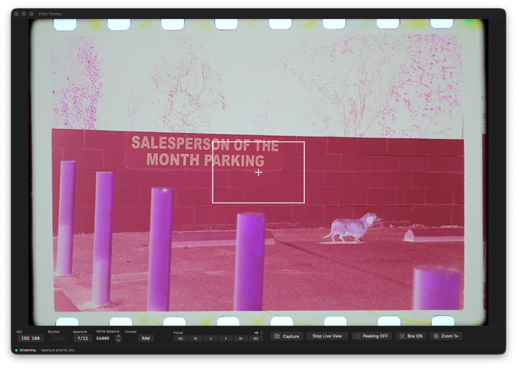 Film Tether live-viewing a color negative with the focus box on
